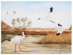 Artist Jean Plout Debuts Her New Whooping Crane Painting